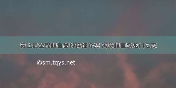 史上最全锦鲤鱼品种详细介绍 寓意鲤鱼跃龙门之志