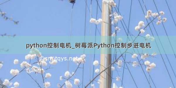 python控制电机_树莓派Python控制步进电机