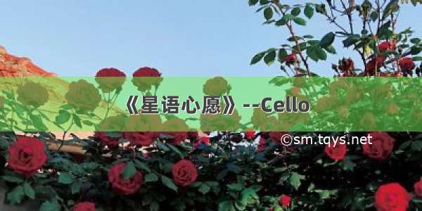 《星语心愿》--Cello