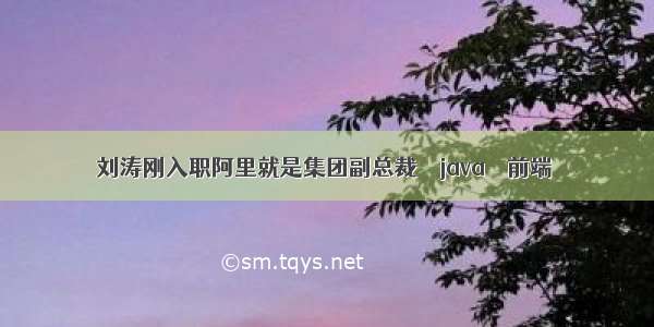 刘涛刚入职阿里就是集团副总裁 – java – 前端