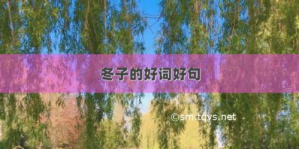 冬子的好词好句