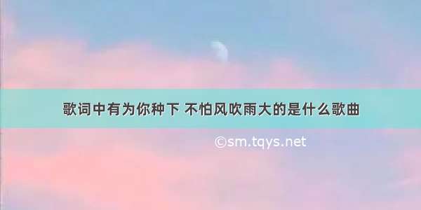 歌词中有为你种下 不怕风吹雨大的是什么歌曲