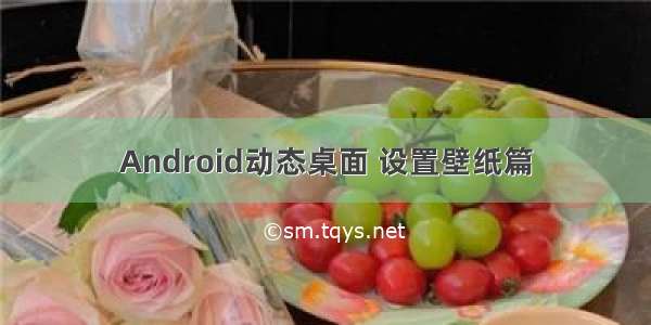 Android动态桌面 设置壁纸篇