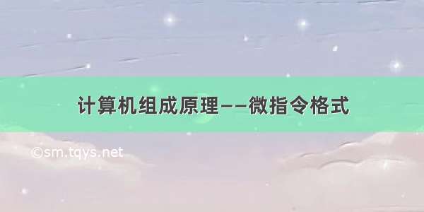 计算机组成原理——微指令格式