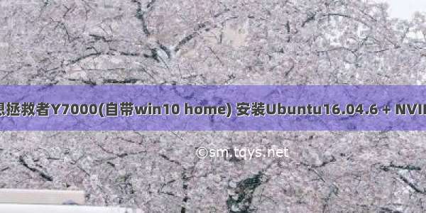 （首个填坑）联想拯救者Y7000(自带win10 home) 安装Ubuntu16.04.6 + NVIDIA GTX1650驱动