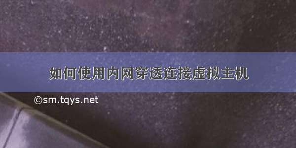 如何使用内网穿透连接虚拟主机