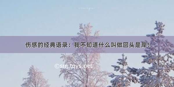 伤感的经典语录：我不知道什么叫做回头是岸！