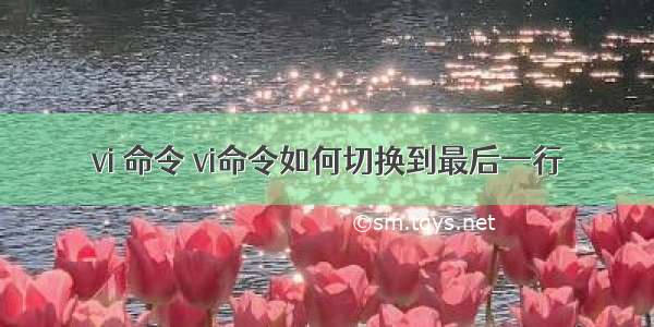 vi 命令 vi命令如何切换到最后一行