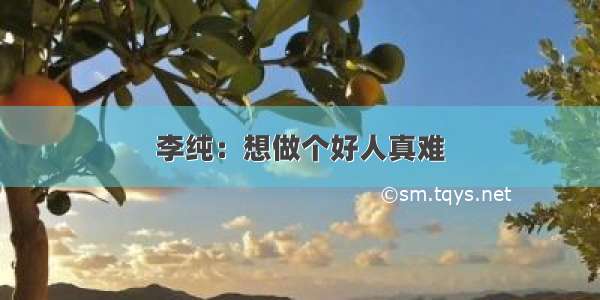 李纯：想做个好人真难