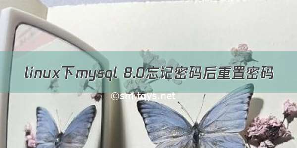 linux下mysql 8.0忘记密码后重置密码