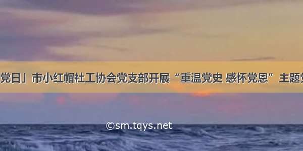 「主题党日」市小红帽社工协会党支部开展“重温党史 感怀党恩”主题党日活动