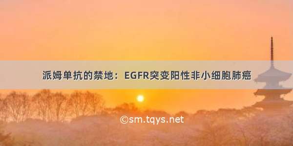 派姆单抗的禁地：EGFR突变阳性非小细胞肺癌