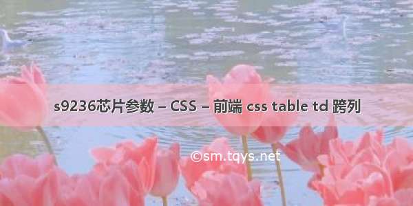 s9236芯片参数 – CSS – 前端 css table td 跨列