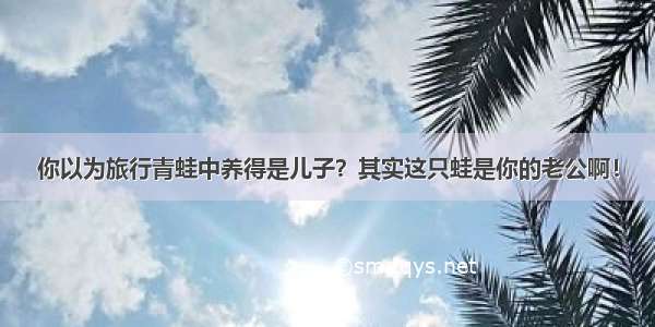 你以为旅行青蛙中养得是儿子？其实这只蛙是你的老公啊！