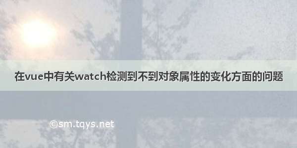 在vue中有关watch检测到不到对象属性的变化方面的问题