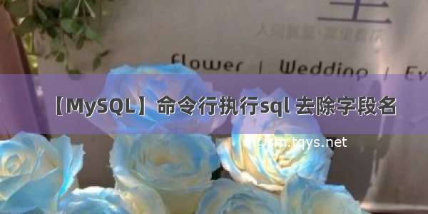 【MySQL】命令行执行sql 去除字段名