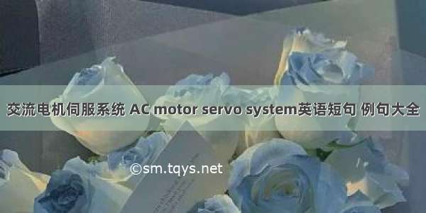 交流电机伺服系统 AC motor servo system英语短句 例句大全