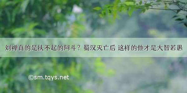 刘禅真的是扶不起的阿斗？蜀汉灭亡后 这样的他才是大智若愚