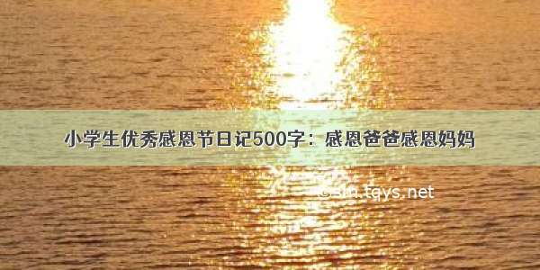 小学生优秀感恩节日记500字：感恩爸爸感恩妈妈