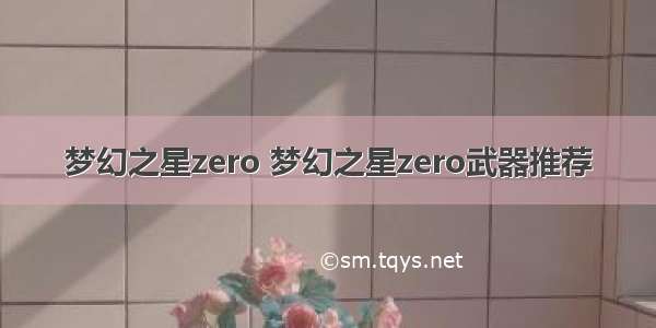 梦幻之星zero 梦幻之星zero武器推荐