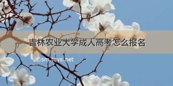 吉林农业大学成人高考怎么报名