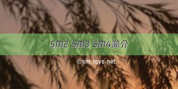 SM2 SM3 SM4简介