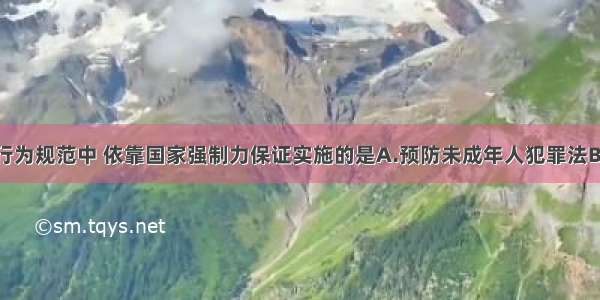 单选题下列行为规范中 依靠国家强制力保证实施的是A.预防未成年人犯罪法B.九年级（1）