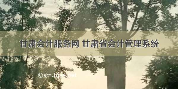 甘肃会计服务网 甘肃省会计管理系统