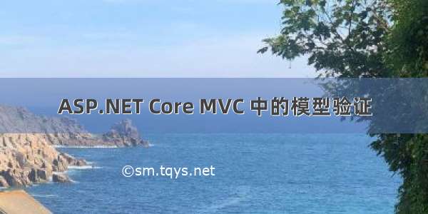 ASP.NET Core MVC 中的模型验证