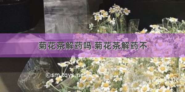 菊花茶解药吗 菊花茶解药不