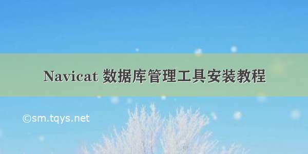 Navicat 数据库管理工具安装教程