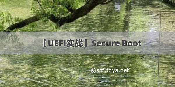 【UEFI实战】Secure Boot