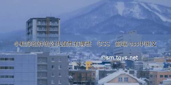 小程序组件的公共属性有哪些 – CSS – 前端 css中图文