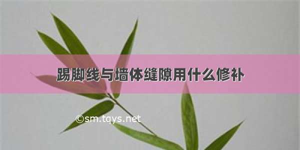 踢脚线与墙体缝隙用什么修补