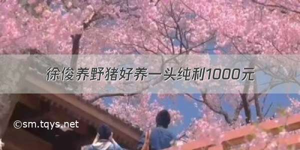 徐俊养野猪好养一头纯利1000元