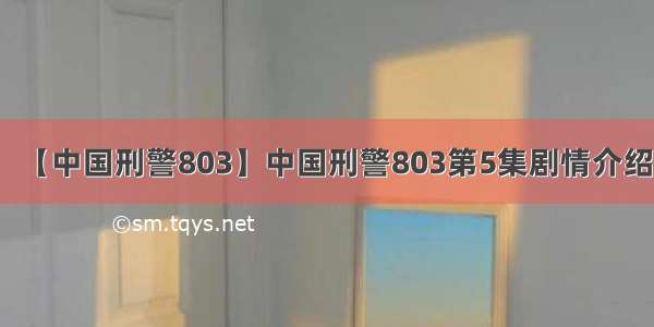 【中国刑警803】中国刑警803第5集剧情介绍