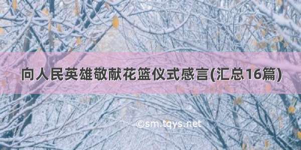 向人民英雄敬献花篮仪式感言(汇总16篇)