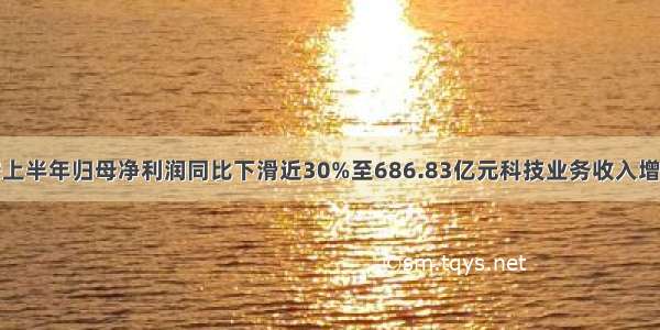 中国平安上半年归母净利润同比下滑近30%至686.83亿元科技业务收入增长11.2%