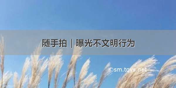 随手拍｜曝光不文明行为