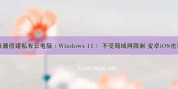 利用阿里云服务器搭建私有云电脑（Windows 11） 不受局域网限制 安卓iOS也可随时远程访问