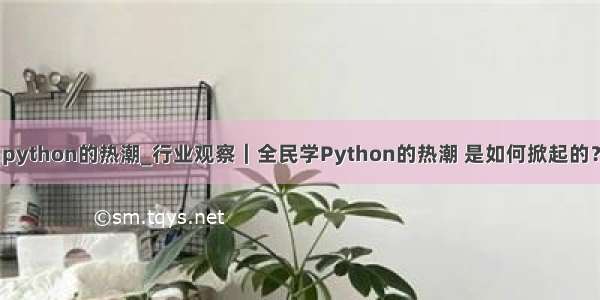 python的热潮_行业观察｜全民学Python的热潮 是如何掀起的？