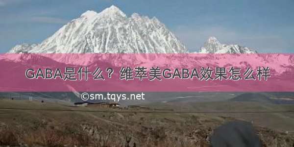 GABA是什么？维萃美GABA效果怎么样