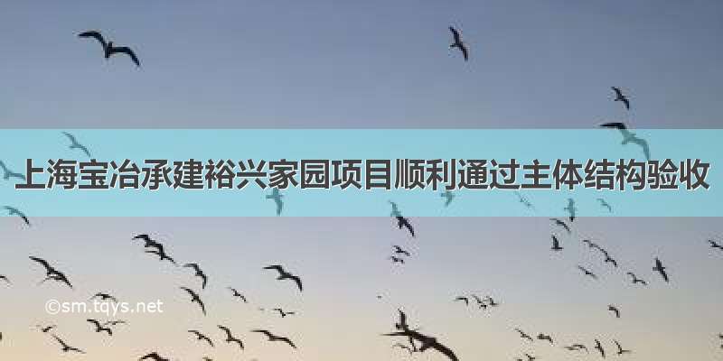 上海宝冶承建裕兴家园项目顺利通过主体结构验收