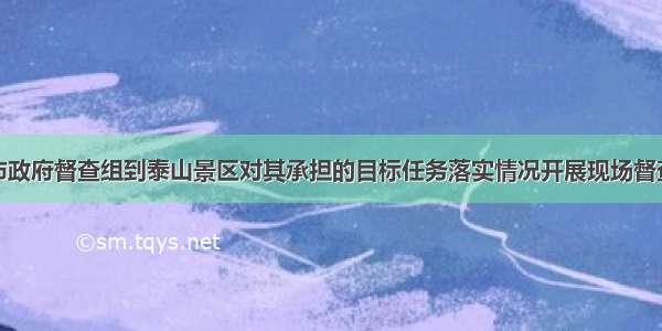 市政府督查组到泰山景区对其承担的目标任务落实情况开展现场督查