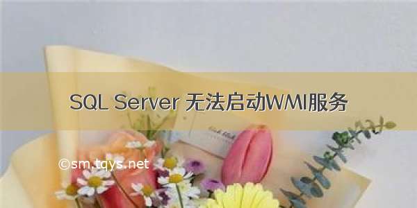 SQL Server 无法启动WMI服务
