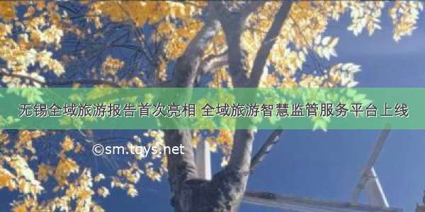 无锡全域旅游报告首次亮相 全域旅游智慧监管服务平台上线