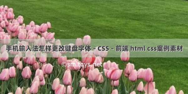 手机输入法怎样更改键盘字体 – CSS – 前端 html css案例素材