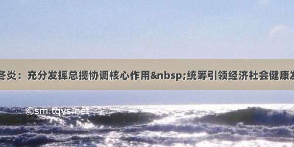 韩冬炎：充分发挥总揽协调核心作用&nbsp;统筹引领经济社会健康发展