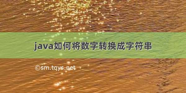 java如何将数字转换成字符串