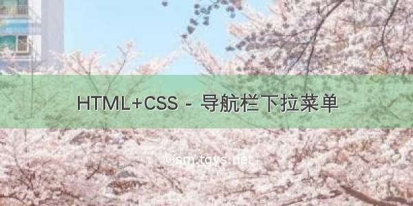 HTML+CSS - 导航栏下拉菜单
